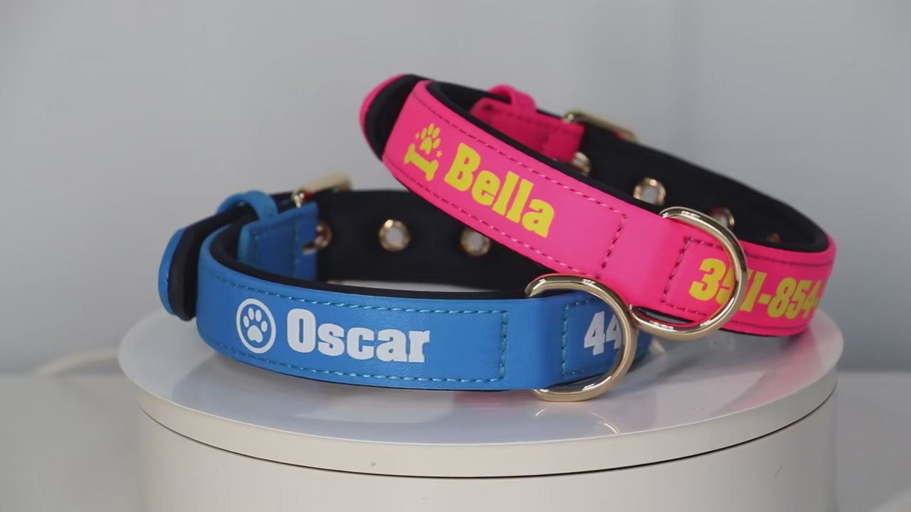 Köpek Tasması İsimli Yastıklı 44500