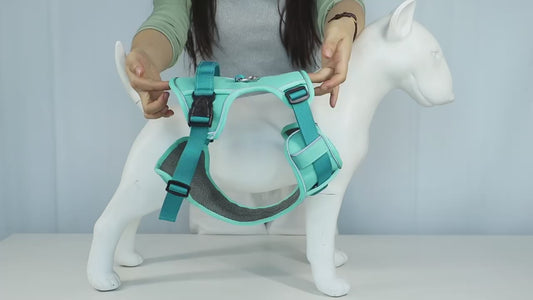 Köpek Göğüs Tasması Reflective Nefes Alabilir 73232