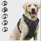 Köpek Göğüs Tasması 78958