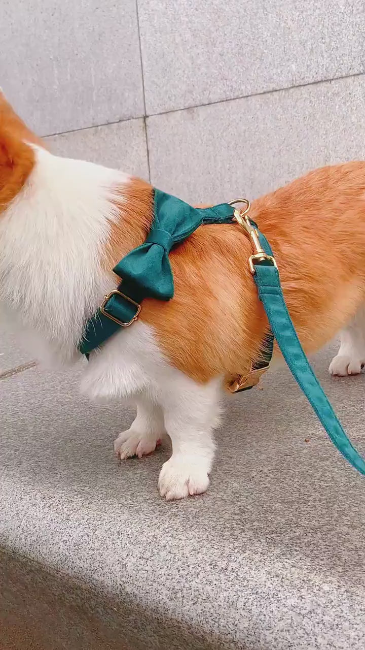 Köpek Boyun Tasması İsimli Christmas Yeşil Kadife 653511
