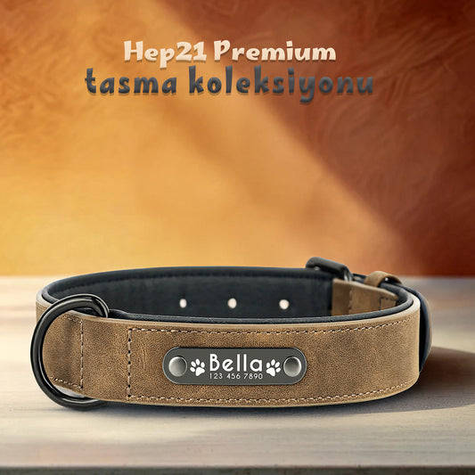 Deri Köpek tasması 05307
