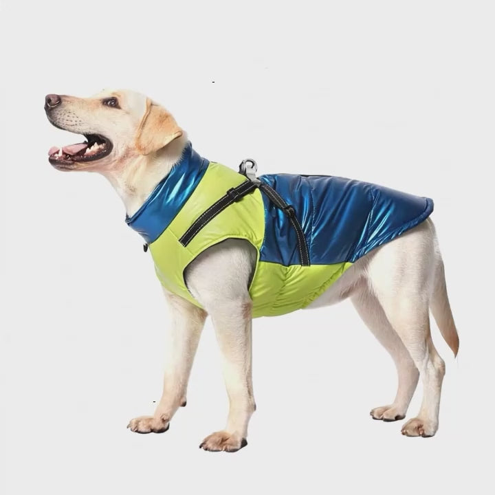 Köpek Yağmurluk 16843546