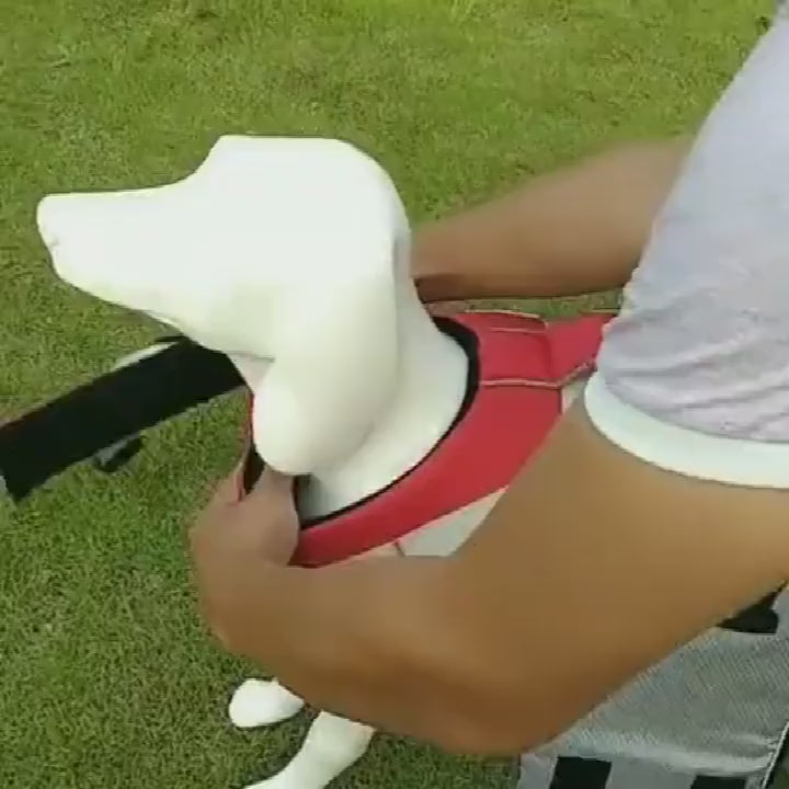 Köpek Can Yeleği Yansıtıcı Reflective Yüzme Yeleği 24842