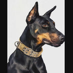 K9 Tasma Taktik Köpek Tasması 701722