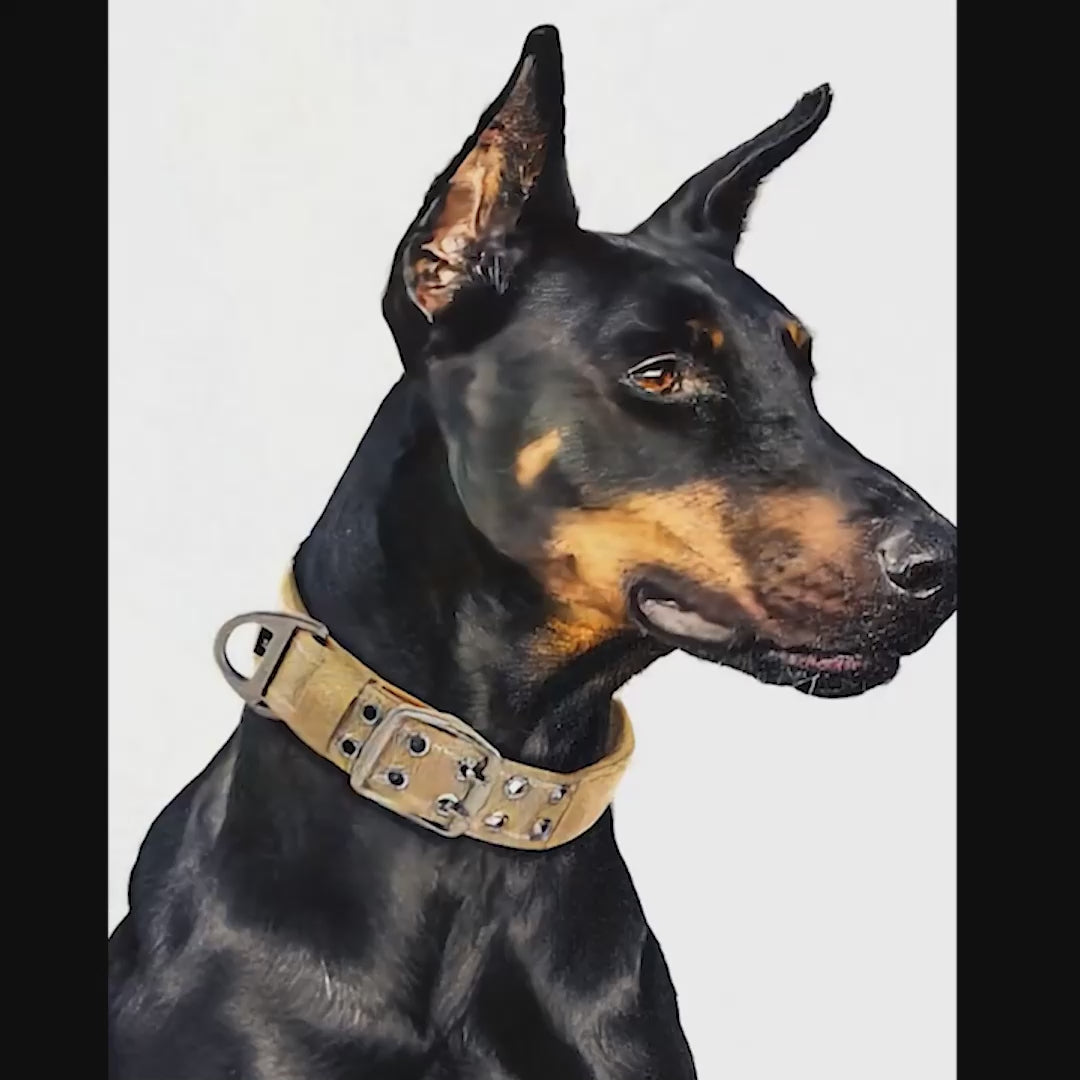 K9 Tasma Taktik Köpek Tasması 701722