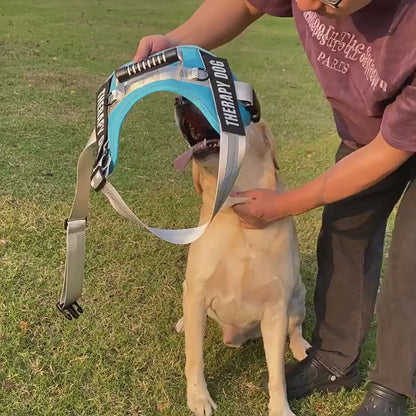 Reflektörlü ve Ayarlanabilir Köpek Göğüs Tasması 77642