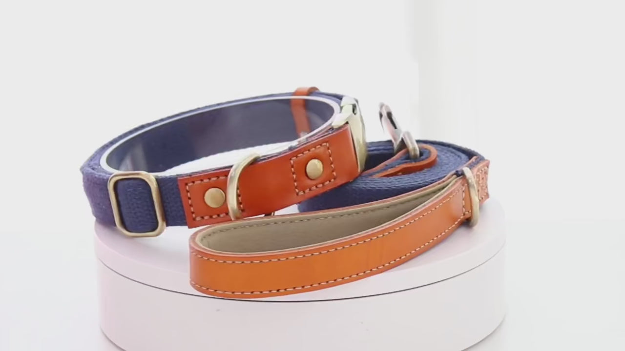 İsimli Köpek Tasması Boyun Tasması 446925