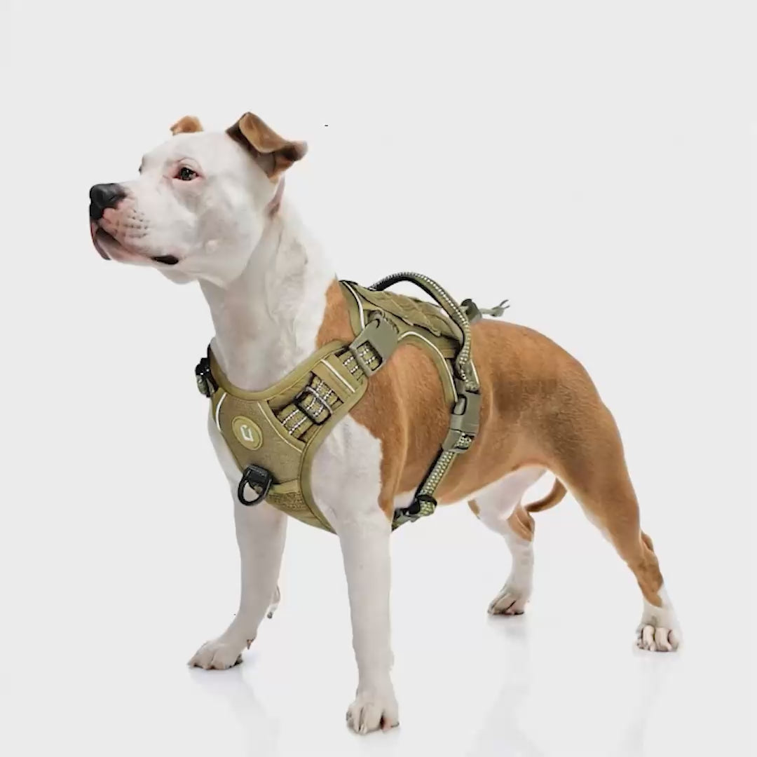 Köpek Göğüs Tasması Yansıtıcı 29189