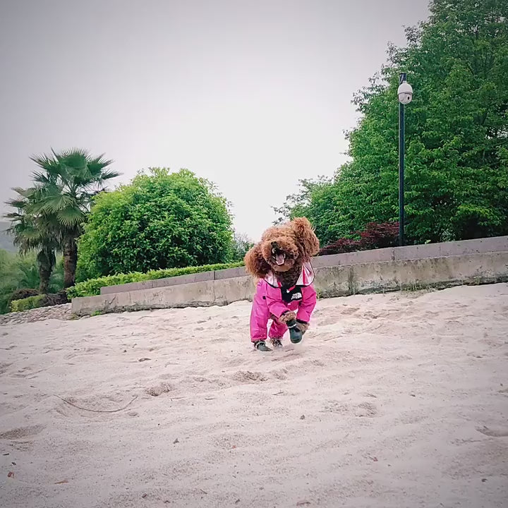 Köpek yağmurluk tulum 39397133