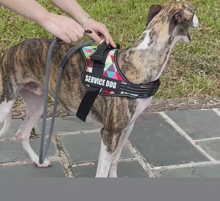 Köpek Göğüs Tasması İSİMLİ Reflective 84076