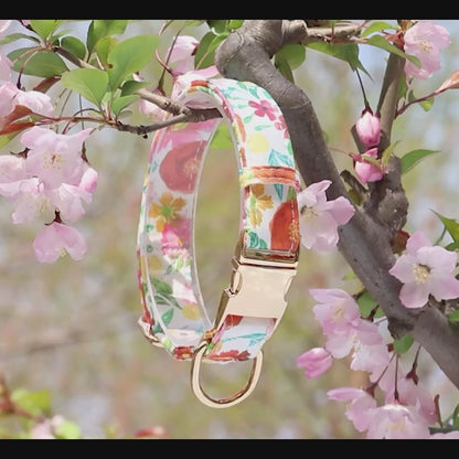 Dog Collar Printed Spring Themed Design 77930