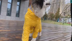 Köpek Yağmurluk Tulum 54514