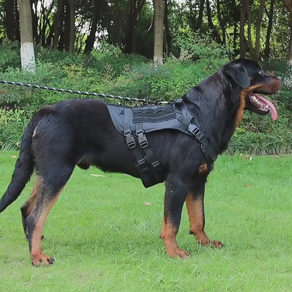 Köpek Göğüs Tasması Tactical isimli 367213