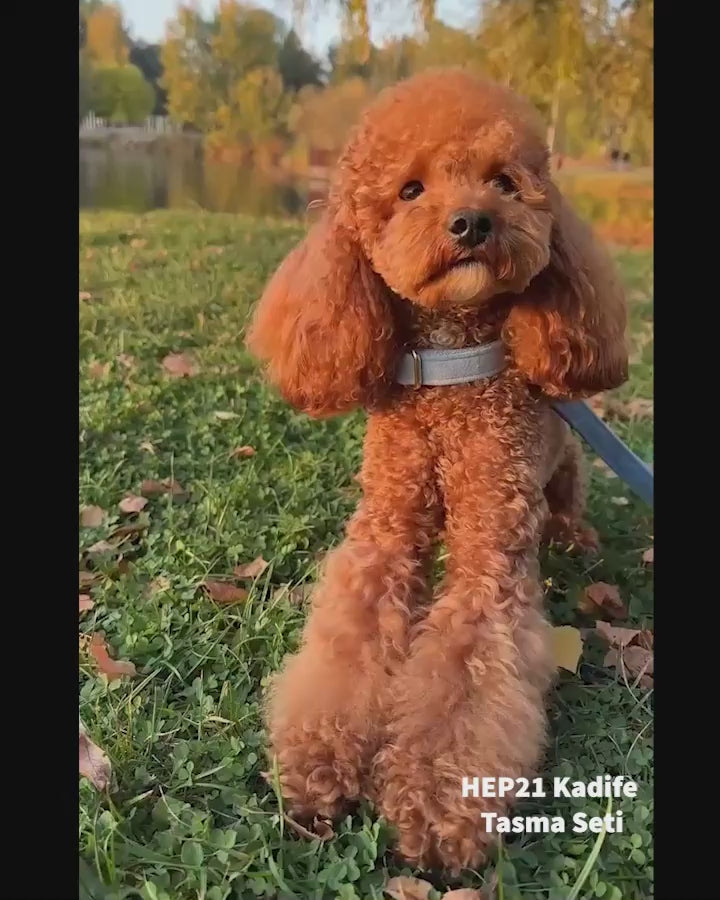 Köpek Boyun Tasması İsimli Gök Mavi Kadife 595658