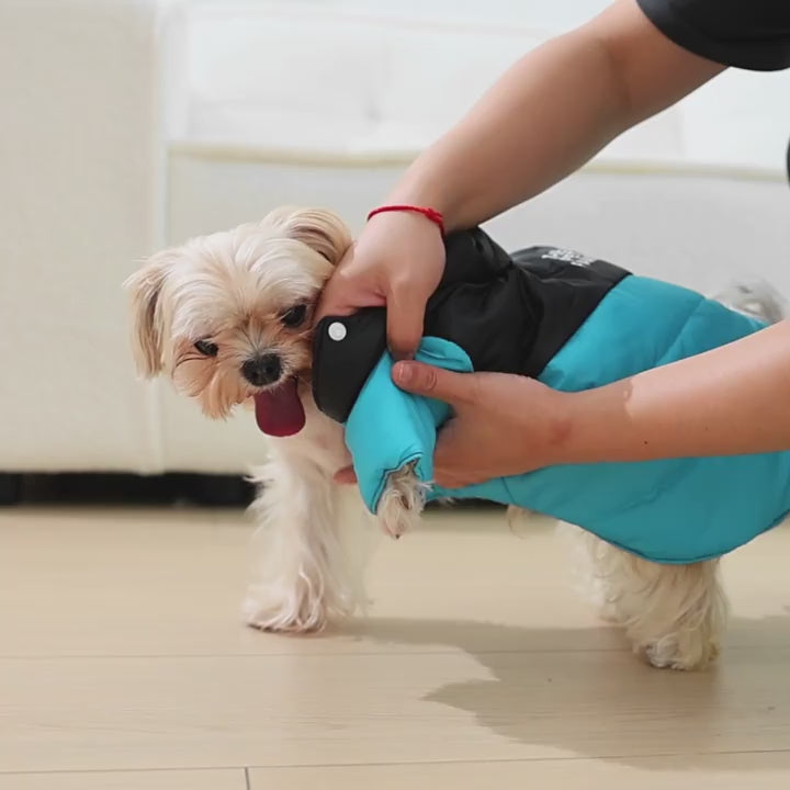 Köpek Yağmurluk 54528