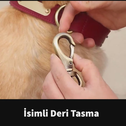 Deri Köpek Tasması 51118901