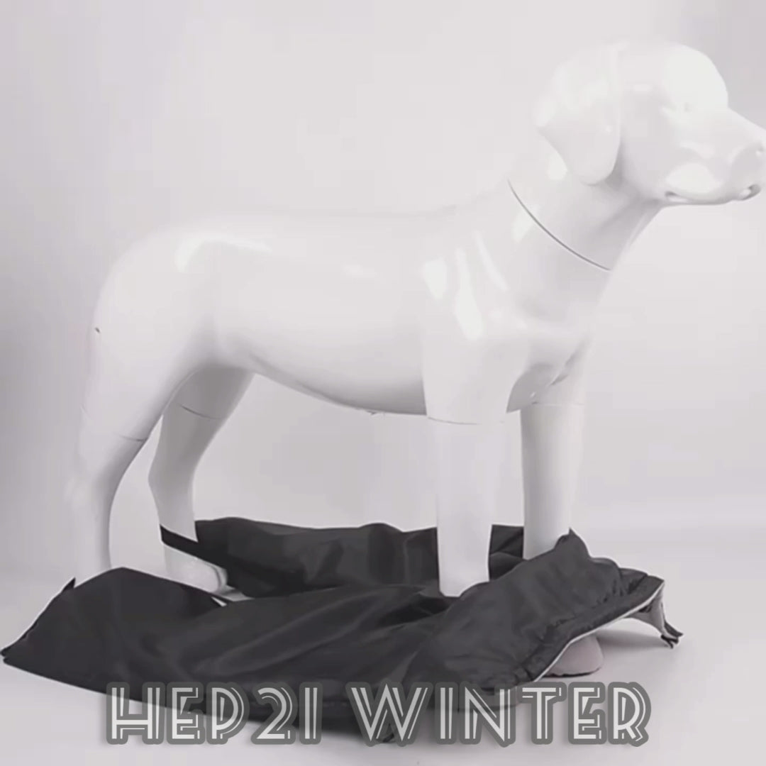 Köpek Yağmurluk 16843546