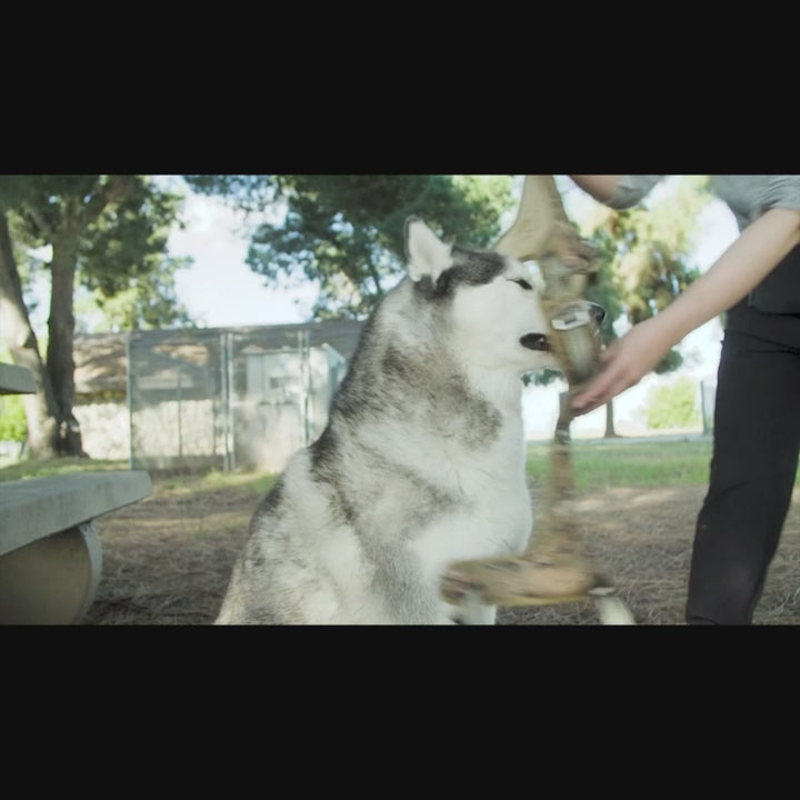K9 Tasma Yansıtıcı Çöl Kamuflajı Göğüs Tasması 51398695