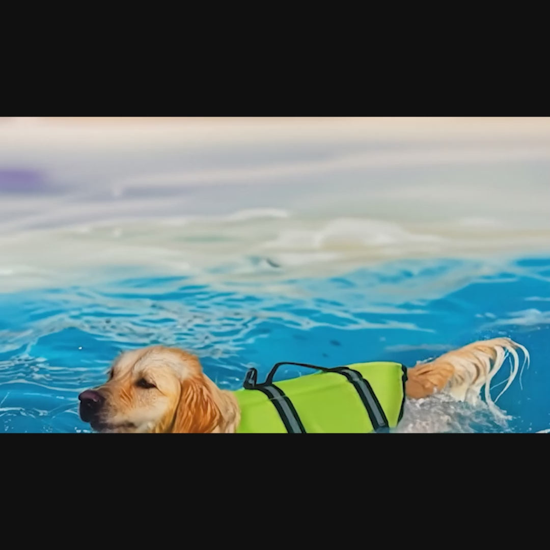 Köpek Can Yeleği 45092321