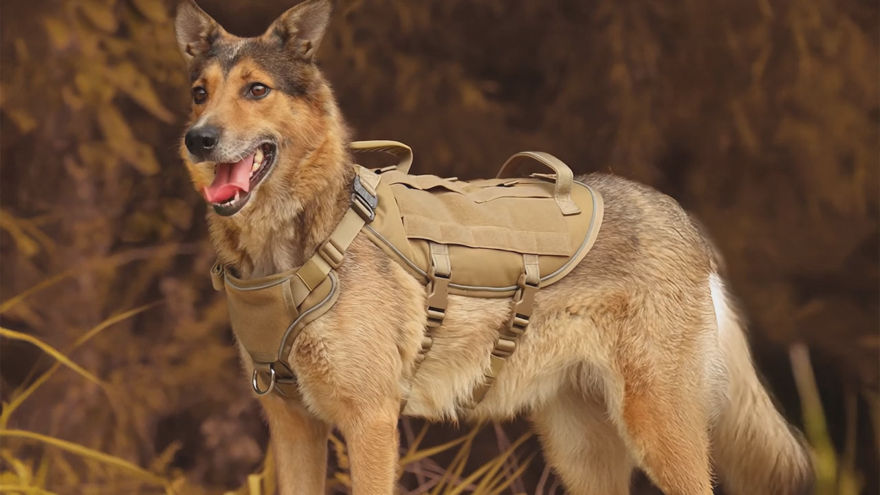 Köpek Göğüs Tasması Taktik K9 037990
