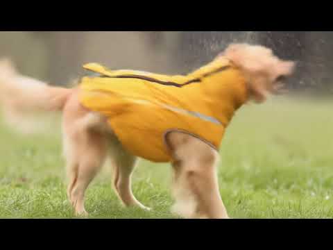 Köpek Yağmurluk Polar 22569102
