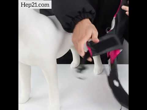 Köpek Can Yeleği Yansıtıcı Yüzme Yeleği 35595423