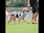 Köpek yağmurluk reflective 31013530