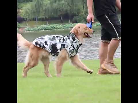 Köpek yağmurluk reflective 31013530