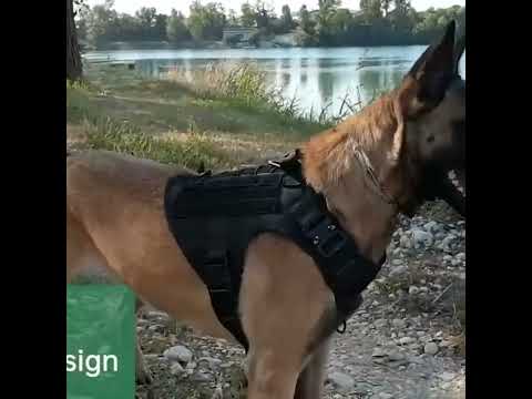 K9 Köpek Göğüs Tasması Tactical 69669132