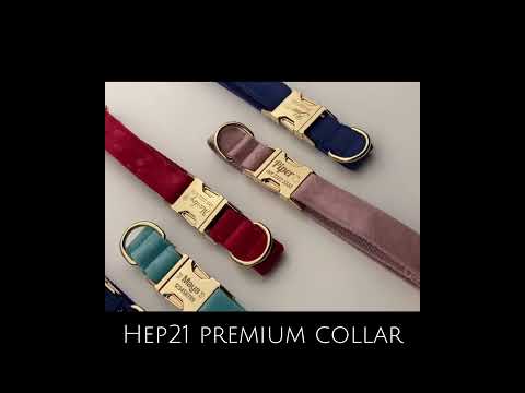Köpek Boyun Tasması İsimli Bej Dantel 245660