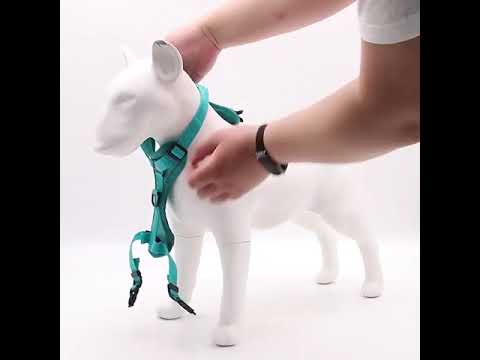 Köpek Göğüs Tasması SET 96851