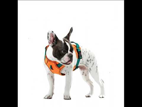 Köpek Göğüs Tasması Reflective Nefes Alabilir 73232
