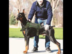 Köpek Göğüs Tasması SET Tactical 39810022