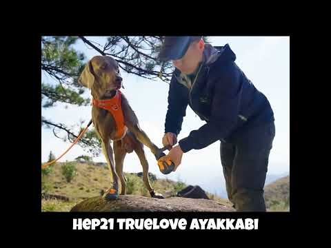 Köpek Ayakkabısı Su Geçirmez Kaydırmaz Yansıtıcı 631602