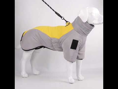 Köpek Yağmurluk 20016029