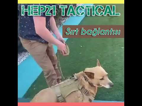 Köpek Göğüs Tasması SET Tactical 39810022