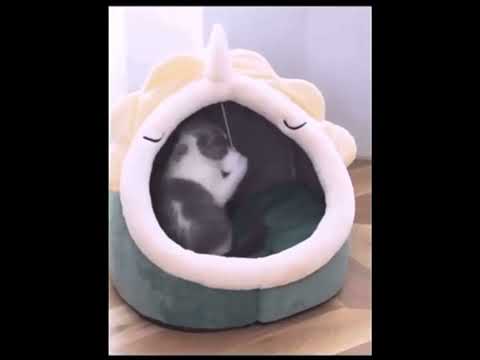 Kedi Yatağı 27569