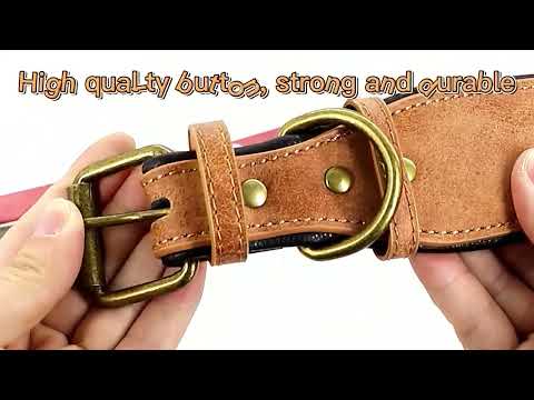 Deri Köpek Tasması Geniş Dolgulu 83100