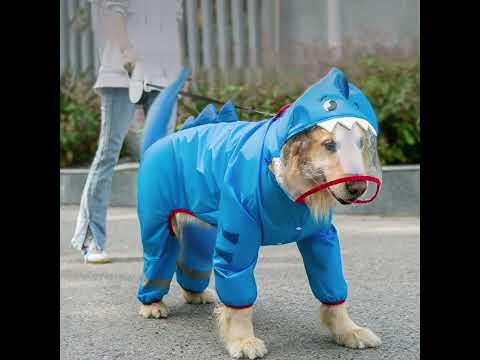 Köpek yağmurluk 20258760