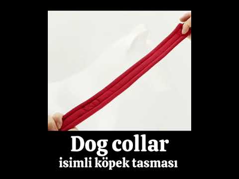 İsimli Köpek Tasması Yastıklı Reflective 866761