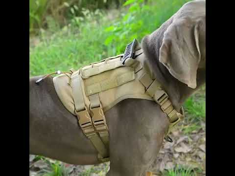 Taktik K9 Köpek Göğüs Tasması Kaçış Önleyici 68208