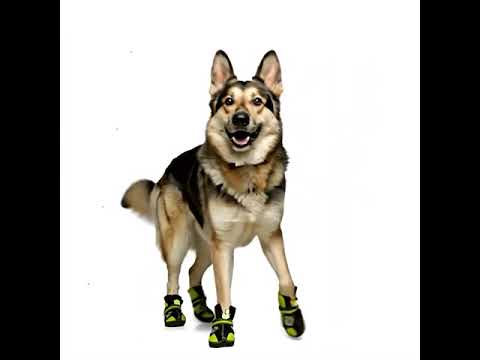 Köpek Ayakkabısı Su Geçirmez Kaydırmaz Reflective 39897414