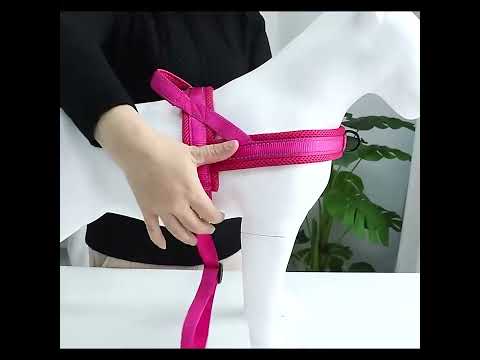 Köpek Göğüs Tasması Yastıklı Reflective 869512