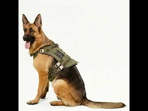 Köpek Göğüs Tasması Tactical isimli 367213