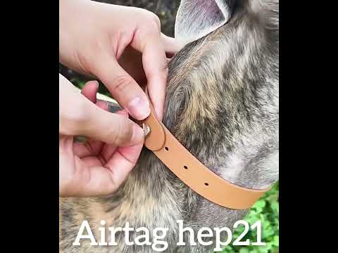 Airtag Köpek Tasması Airtag Kedi Tasması 91496