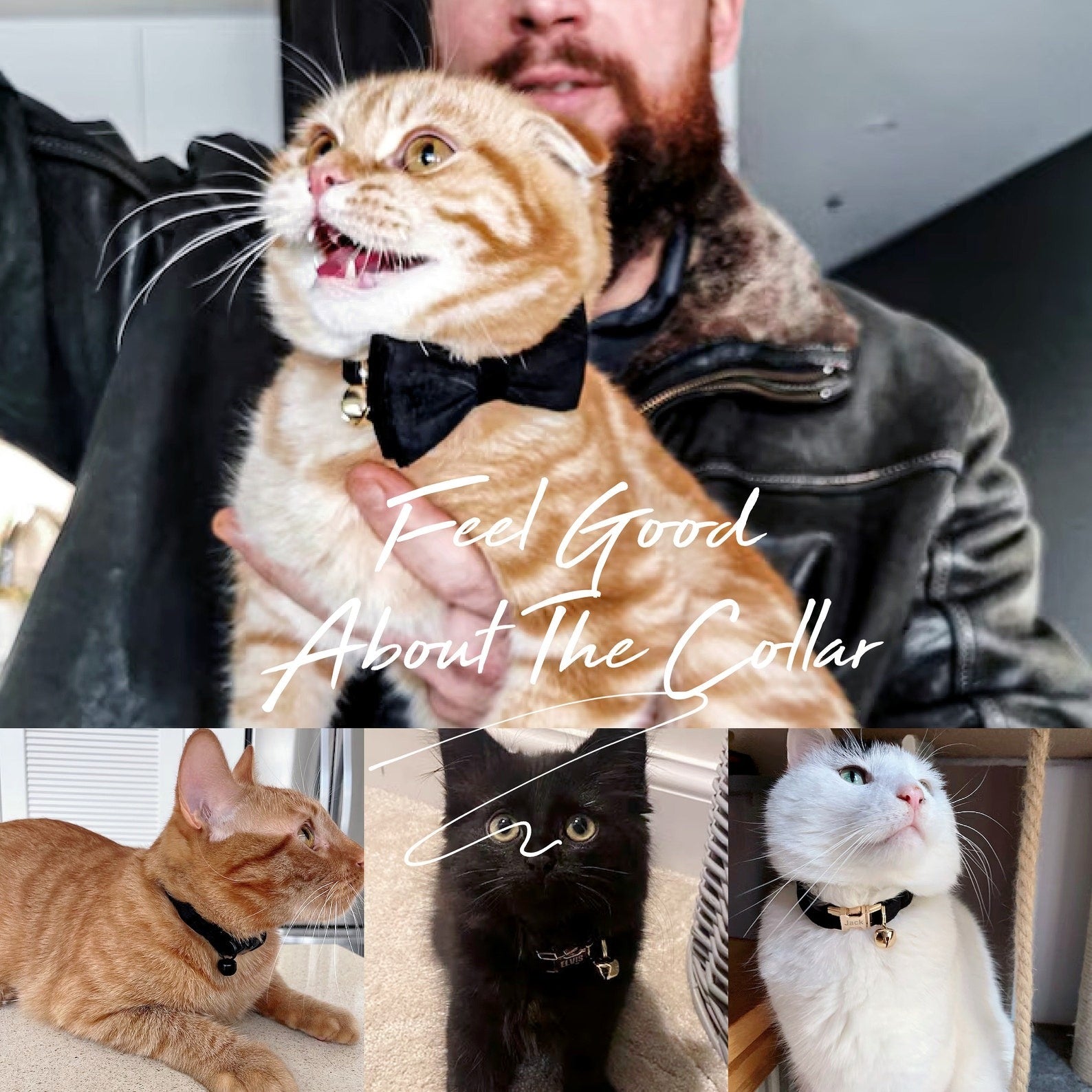 Kedi tasması Kadife İsimli Zilli Kedi Boyun Tasması 755153