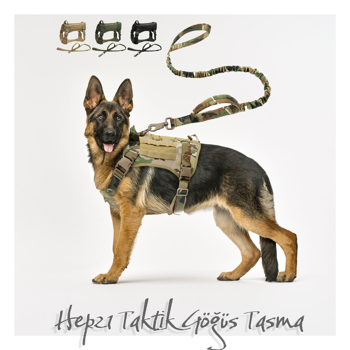 Köpek göğüs tasması kayış Set Tactical 39810022