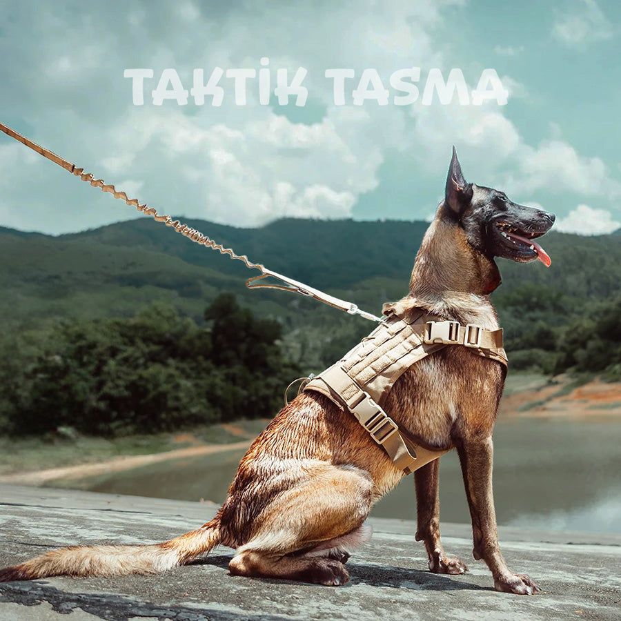 Köpek Göğüs Tasması SET Tactical 39810022