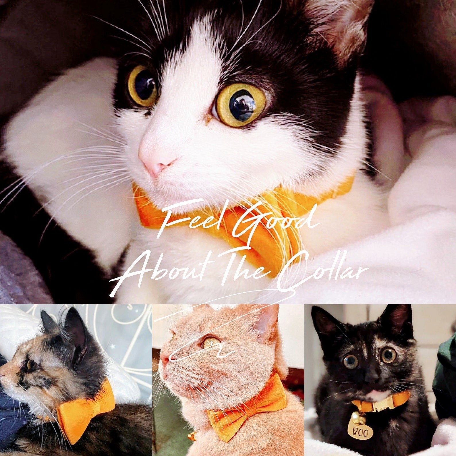 Kedi tasması isimli zilli kedi tasma 745094