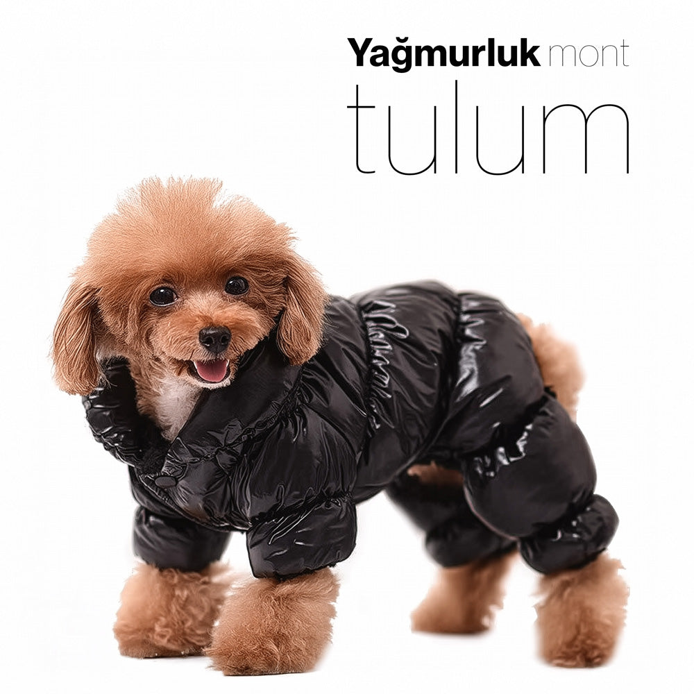 Köpek montu 19564699